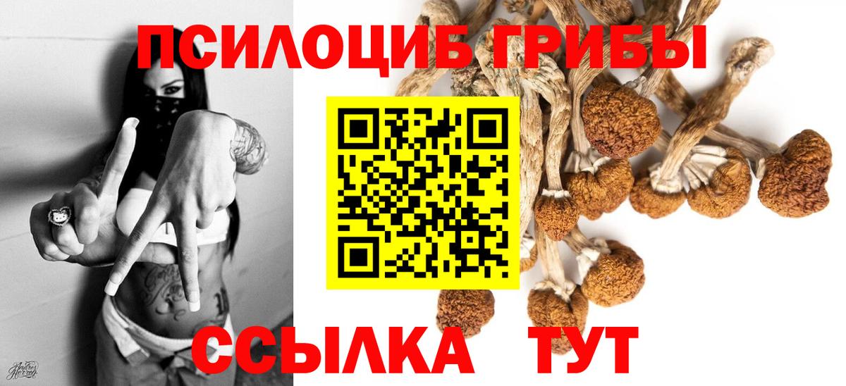 Кинешма  Галлюциногенные грибы ЛСД  Псилоцибиновые грибы Cubensis  Вход с VPN 